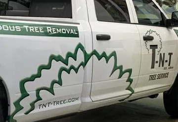TNT TREE SERVICE WRAP — wrap installation by Leidy MV